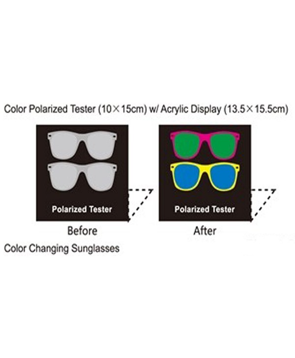 Polarized Tester Sunglasses BLACK WAYFARER