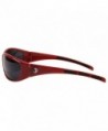 Officially Licensed Sunglasses Florida Seminoles