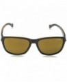 Wayfarer sunglasses