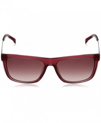 Wayfarer sunglasses