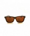 Wayfarer sunglasses