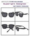 Wayfarer Sunglasses