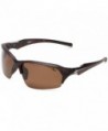 Coleman Windchaser Polarized Sunglasses Tortise