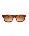 Wayfarer sunglasses