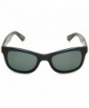 Wayfarer sunglasses