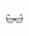 Wayfarer Sunglasses