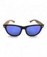 Wayfarer Sunglasses