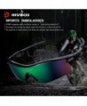 Goggle Sunglasses