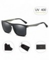 Wayfarer Sunglasses RAYSUN Driving Polarized