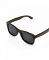 Wayfarer Sunglasses