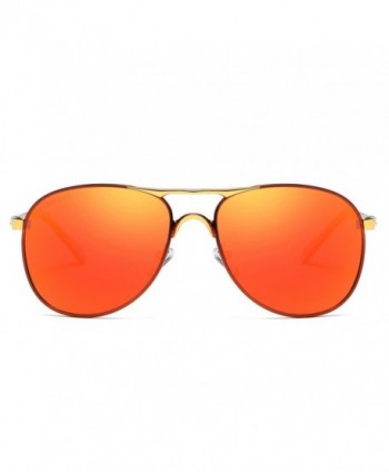 Wayfarer Sunglasses