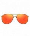 Wayfarer Sunglasses