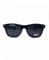 Wayfarer Sunglasses