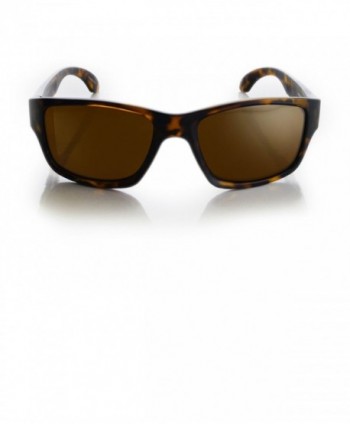 Wayfarer sunglasses