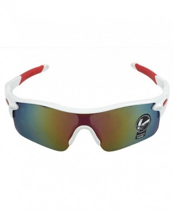 Goggle sunglasses