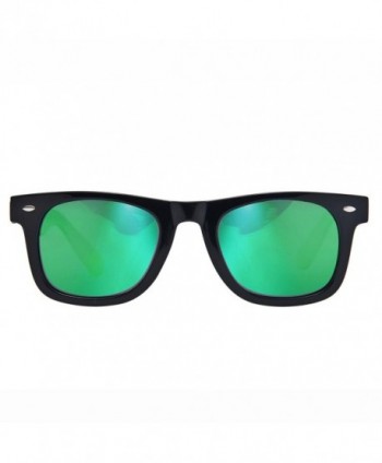 Wayfarer Sunglasses