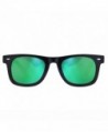 Wayfarer Sunglasses