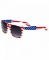 Classic American Patriot Wayfarer Sunglasses