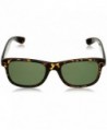 Wayfarer sunglasses