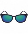 Wayfarer sunglasses