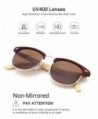 Wayfarer Sunglasses