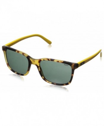 Polo Ralph Lauren 0PH4103 Sunglasses