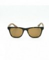 Wayfarer Sunglasses